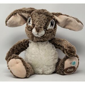 Singing Peter Rabbit Plush Stuffed Animal 11" Dan Dee Collectors Choice EUC‎